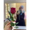 asma_osm4n