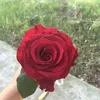 nadaaymane