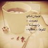qqaazzalanood