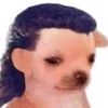 jonnhyfidelis