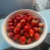 ngocanh301295