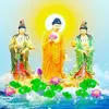 thaohoaanh1984