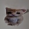 sadlarry1