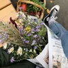 lucina_sitt