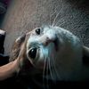 0meowoem0