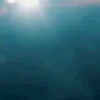 yn_mh