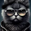 gato874