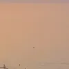 34da569