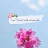 nonahop_elf