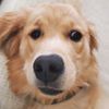 blipblop123456
