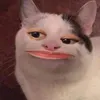 hihihihho_0