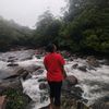 dewi.borneo.a.a