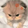 bongkute_99999