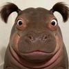 kobietnhunao3