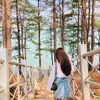 lanlee04