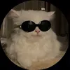 user37q2o4voiy