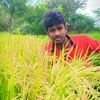 vfx_sathish_