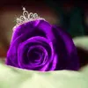 maha_maha898