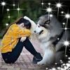 user384062265