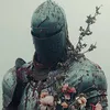 qdar__5