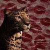 masarh_ad11