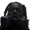 brandon.yrn