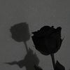 mi_kal222