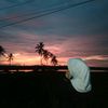 Waqiah