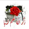 user852394193636