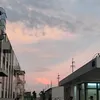royhi_p