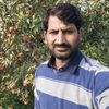 qaswar.abbas651
