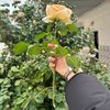 thejasmiin23