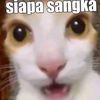 raputri96