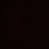 andrea_18485