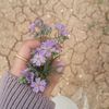 user653520641097