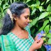 chandu71900