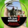 waelazzam8
