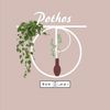 pothos699