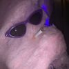 rad__roach
