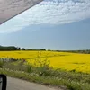 gdtdtdpmpm