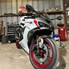 austin__zx6r