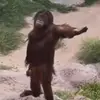 lesterrrcutie