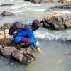bangula_4321
