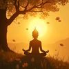 ධහම් මග - Dhamma Journey