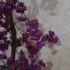 yazen__00