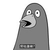 wsnbb87