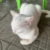 abcxyznmaye