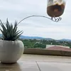hoangvu26