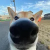lenny.0778