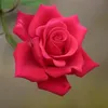 neezar_alzype